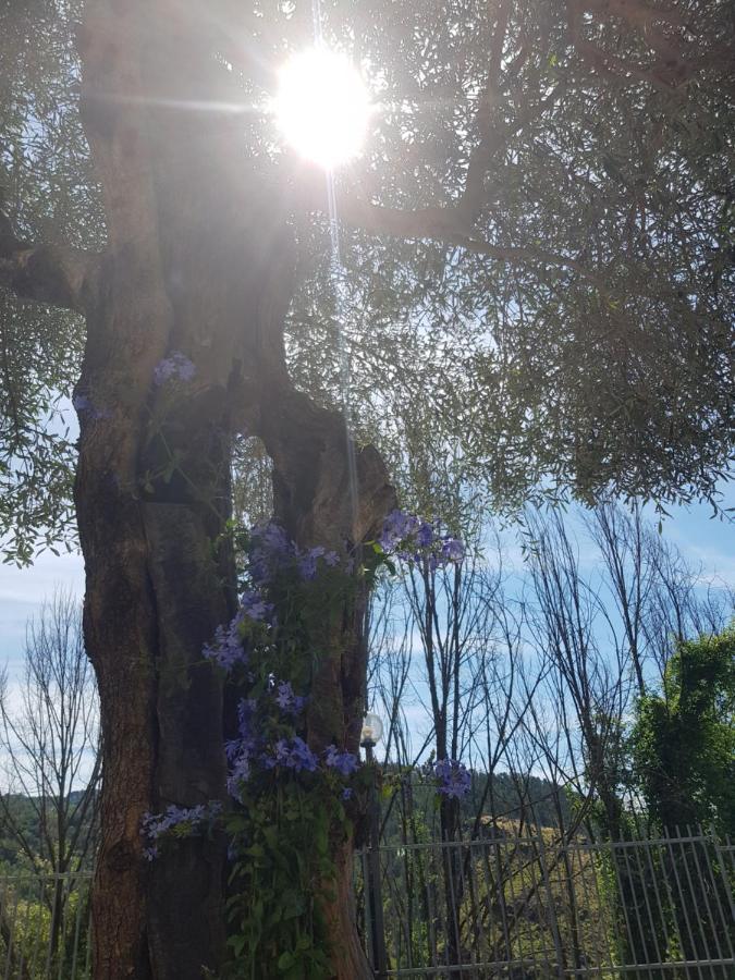 Casa Luigina Villa Vezzola Buitenkant foto